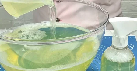 Removedor de Gordura Pesada para uma Cozinha Impecável e Cheirosa